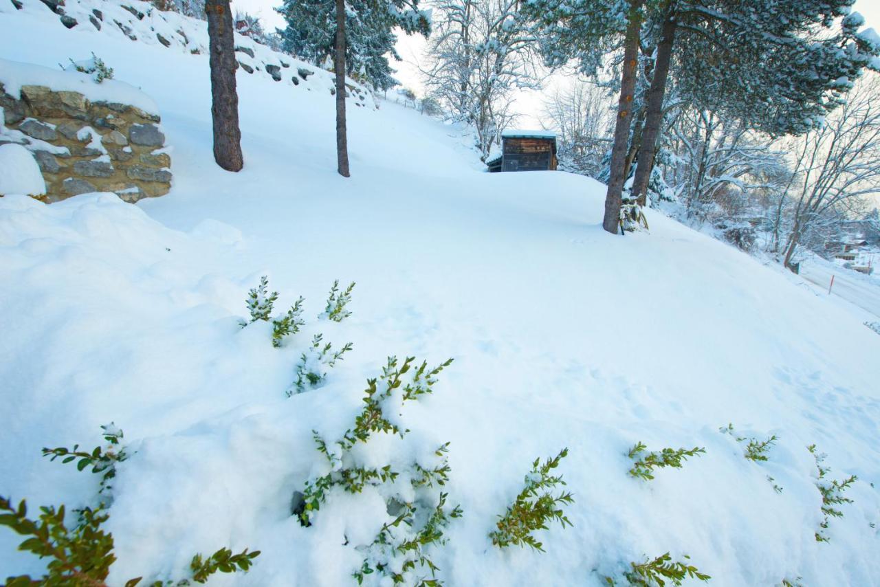 Studio Avec Sauna - 300M Des Pistes Leysin Exterior photo